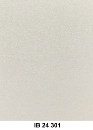 IB 24 301