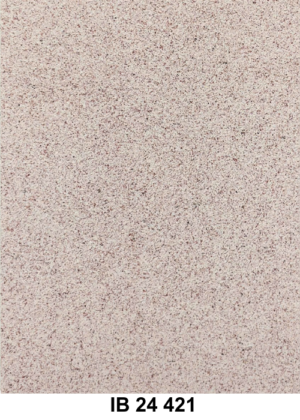 IB 24 421