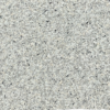 IPG 2521